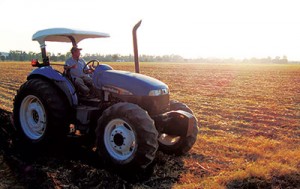 CIMMYT Photo