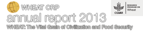 CRP WHEAT Annual Report 2013