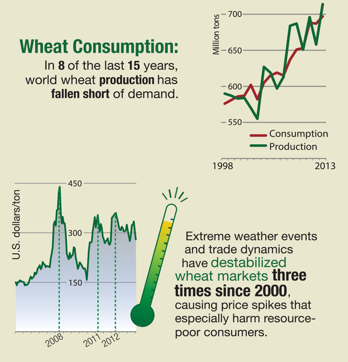 Wheat Matters