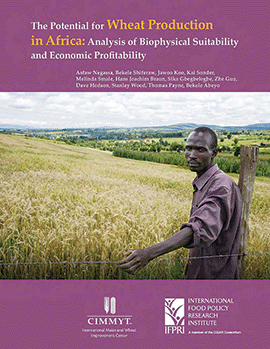 literature review on wheat production in ethiopia